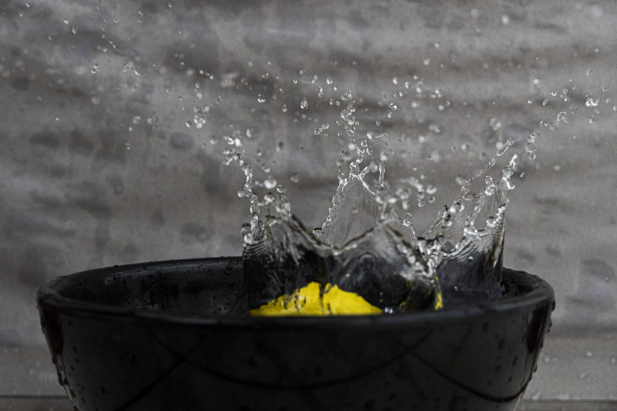 Agua sucia en el bebedero