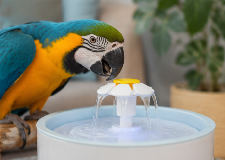 Sistema de fuente de agua para mascotas