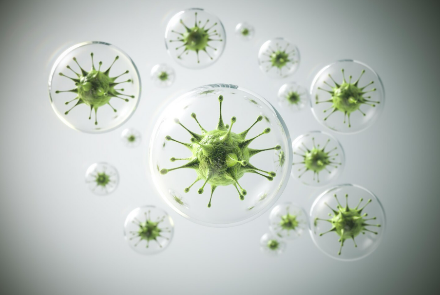 Crecimiento de bacterias